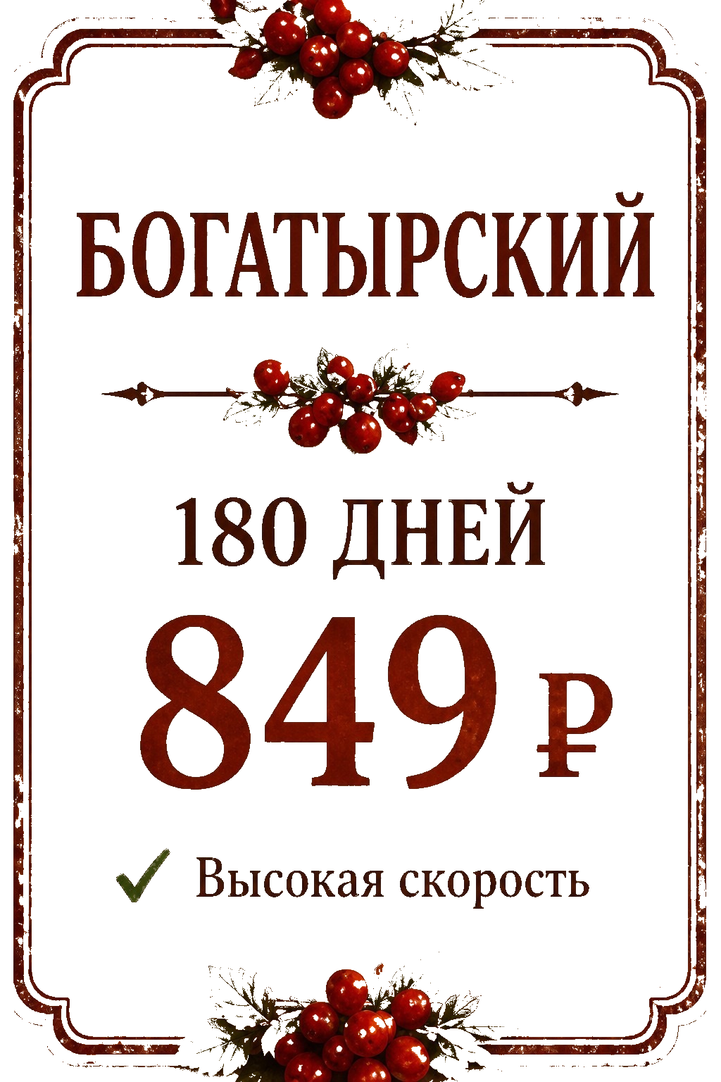 Богатырский — 180 дней, 849 ₽